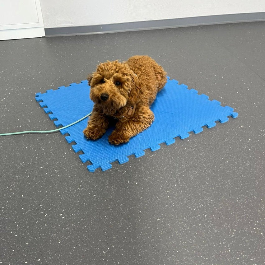 Einzeltraining mit Erstgespräch