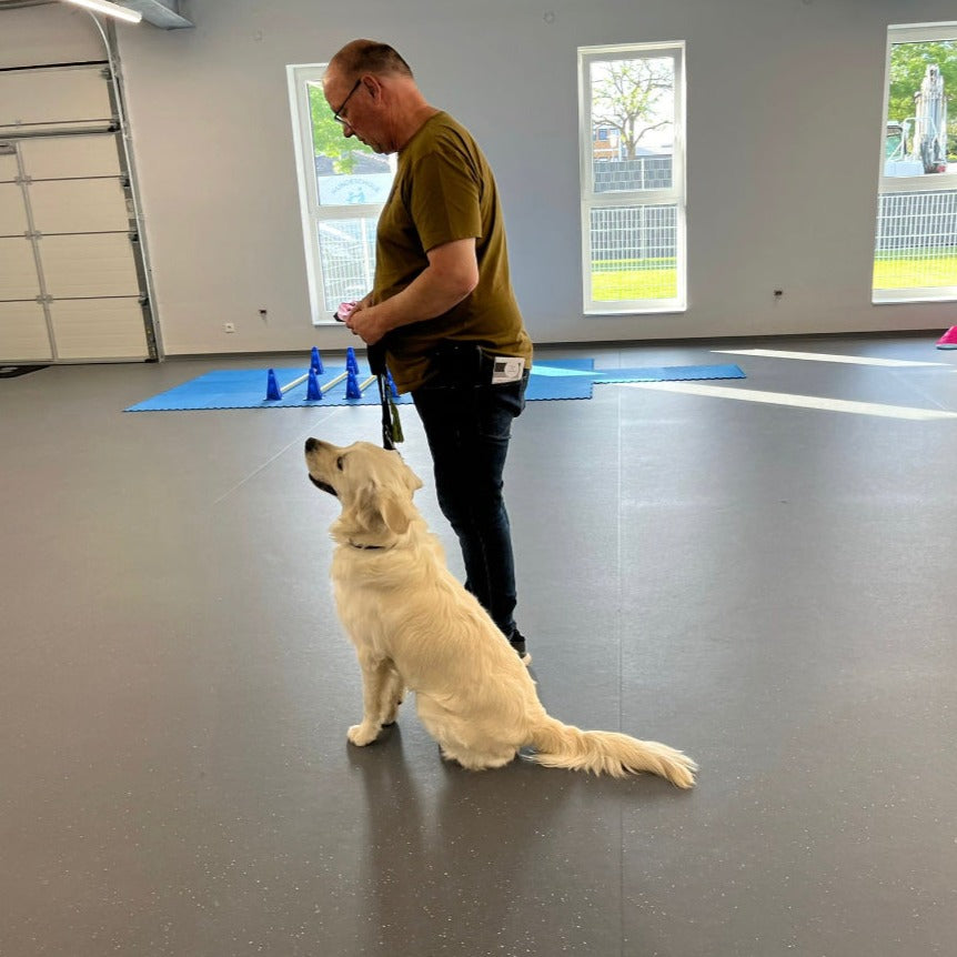 Einzeltraining mit Erstgespräch