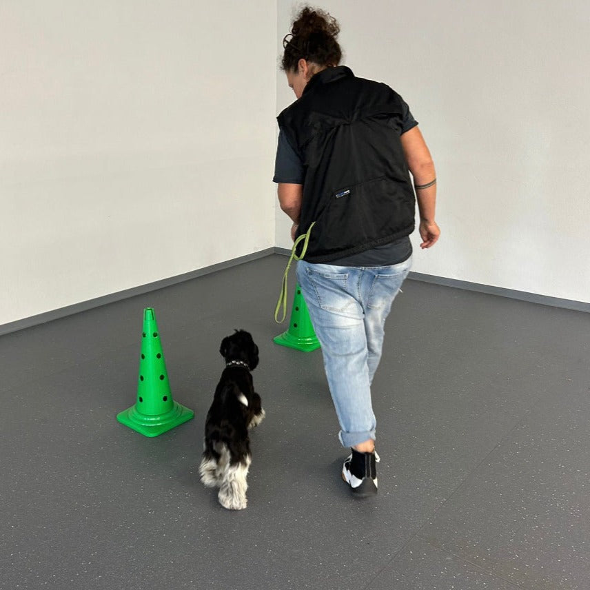 Einzeltraining mit Erstgespräch