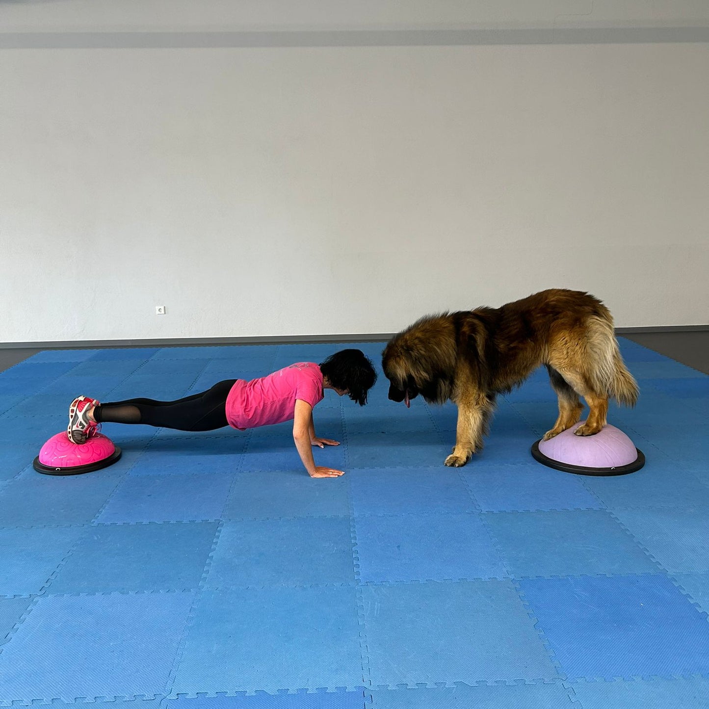 Zwei&Vier in Form- Fitness im Doppelpack