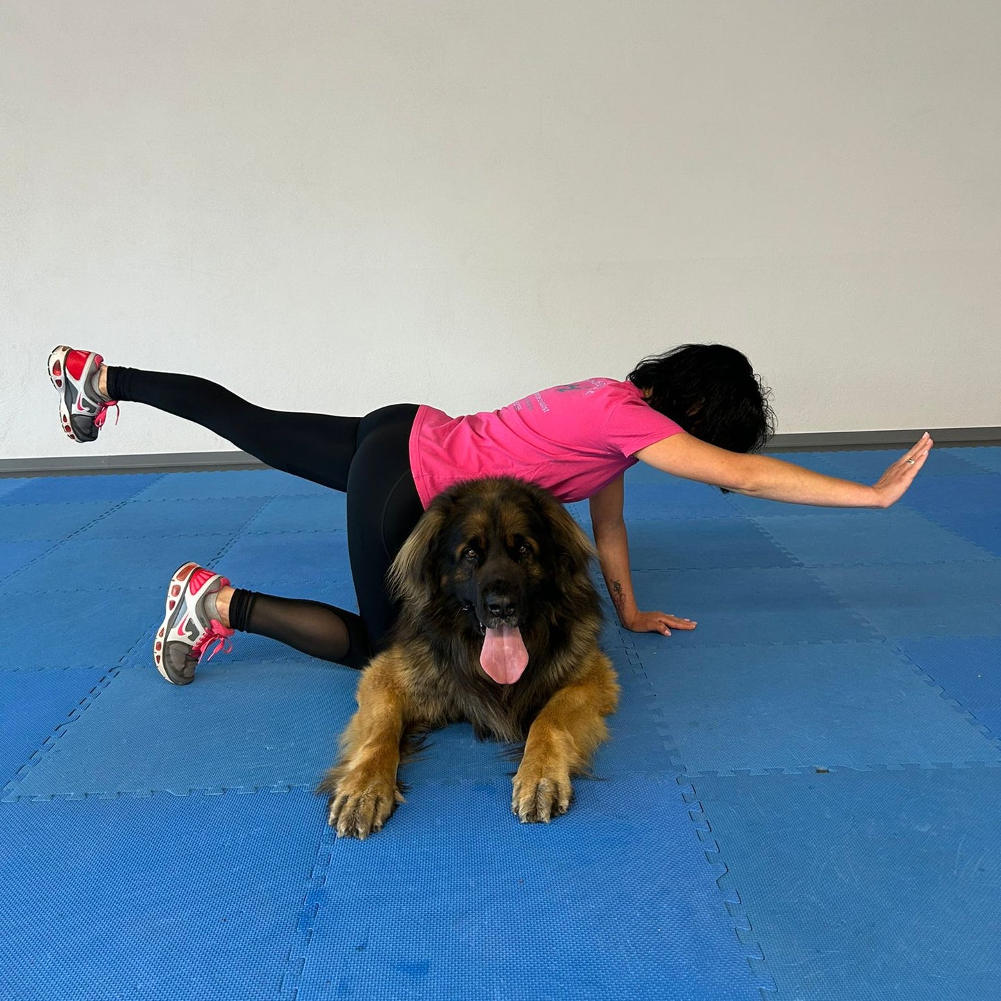 Zwei&Vier in Form- Fitness im Doppelpack