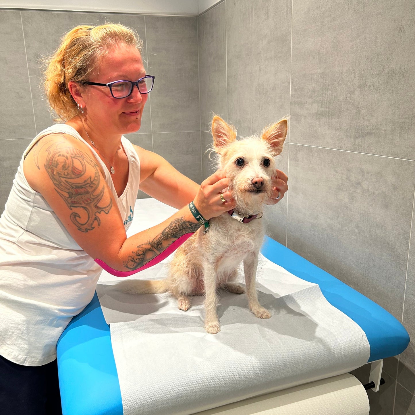 Physiotherapie für Hunde