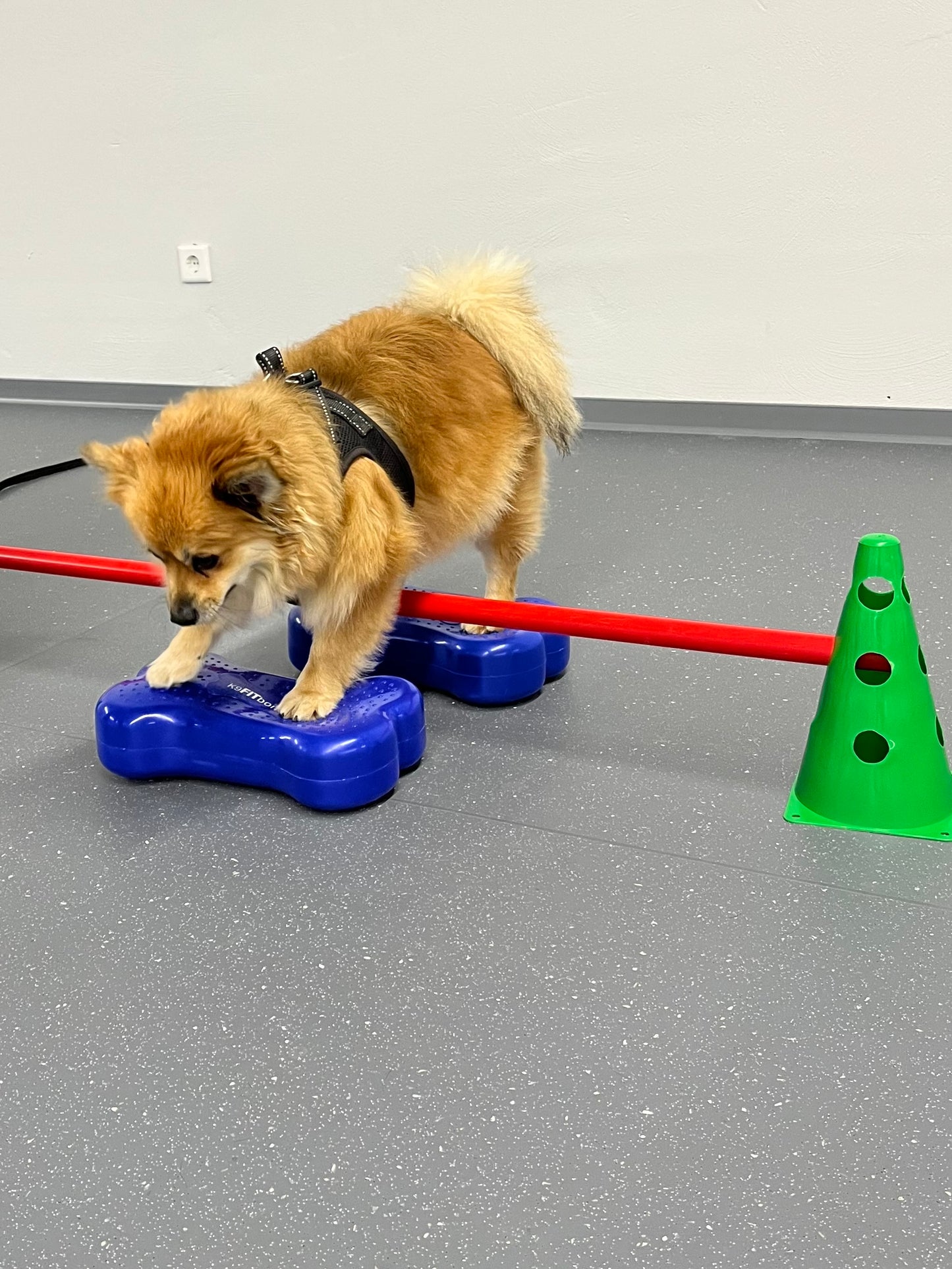 Rehabilitations- Kurs