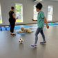 Erziehungstraining