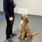 Erziehungstraining