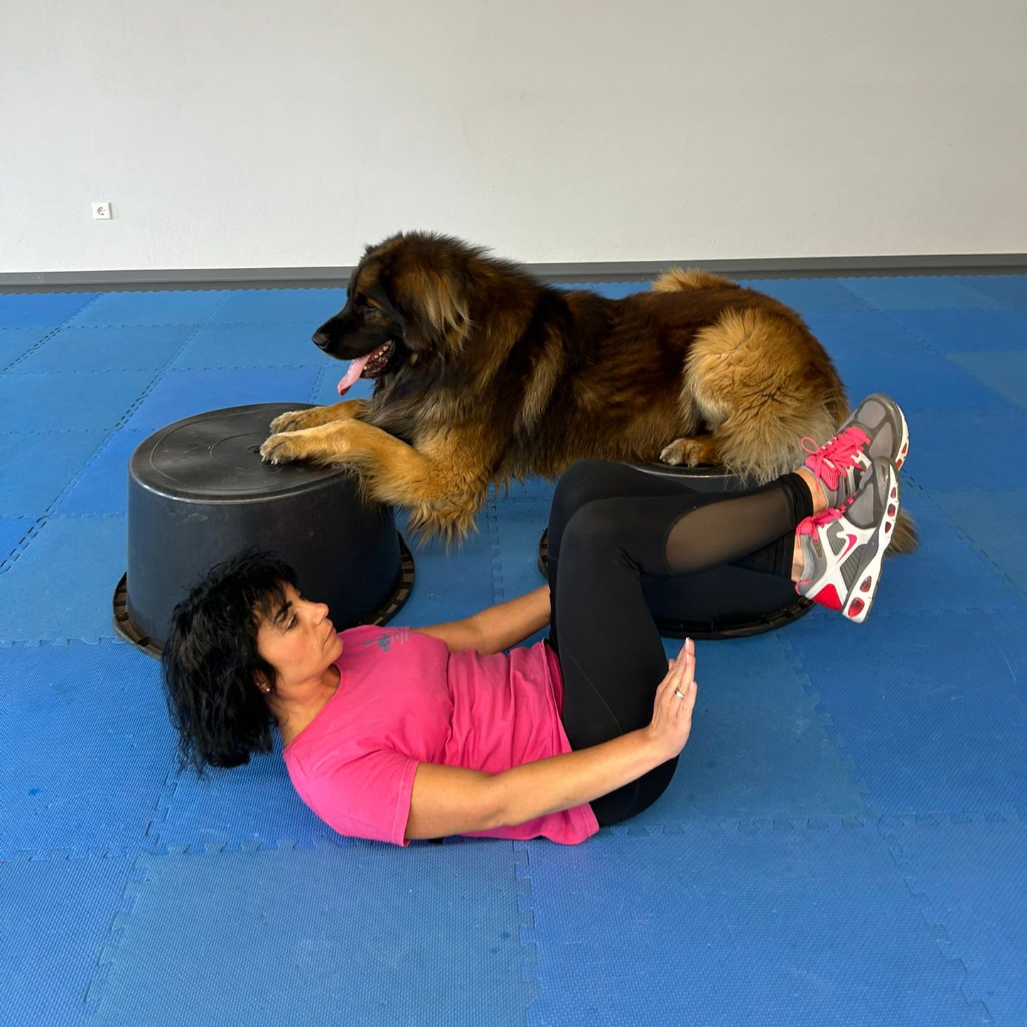 Zwei&Vier in Form- Fitness im Doppelpack