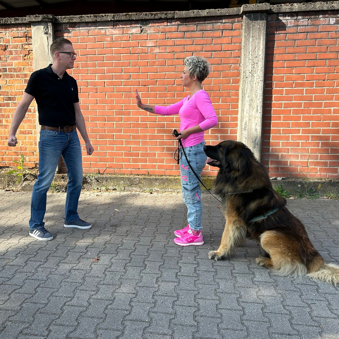 Selbstverteidigung mit Hund