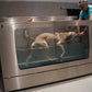 Unterwasserlaufband für Hunde