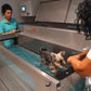 Unterwasserlaufband für Hunde