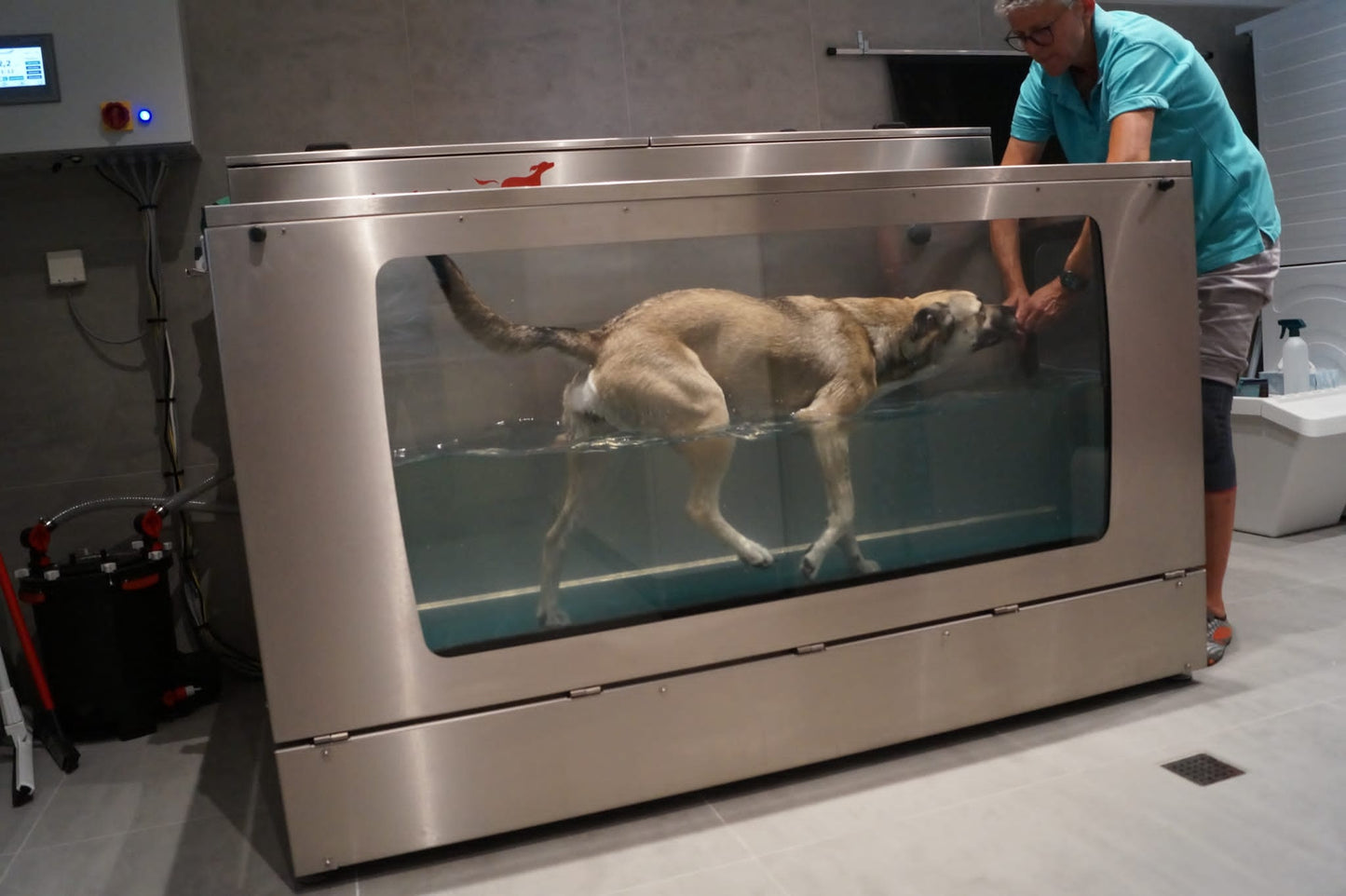 Unterwasserlaufband für Hunde