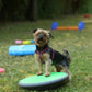 Hundeturnen
