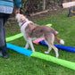 Hundeturnen