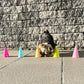 Spaßgruppe (Minihunde)
