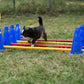 Cavaletti