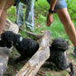 Spaziergang für Hunde